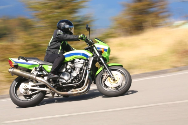 立ちゴケイメージ